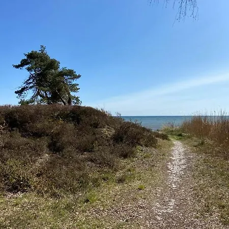Ferienhaus House From 1936 On Bornholm With 30 M To The Water Neksø